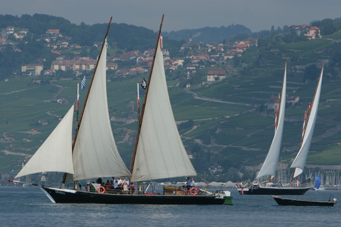 Regate Vieux Bateaux - 149 - 2008